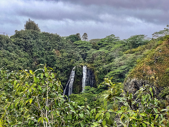 Hawaii_1349_020323