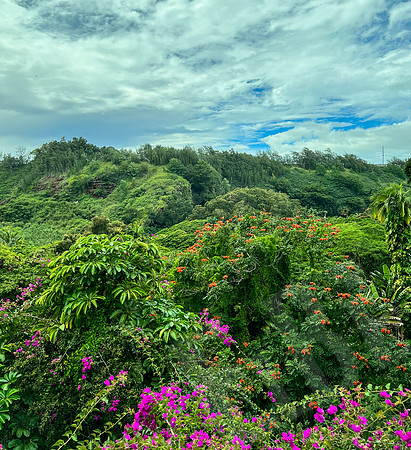 Hawaii_1379_020323