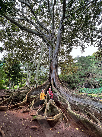 Hawaii_1426_020323