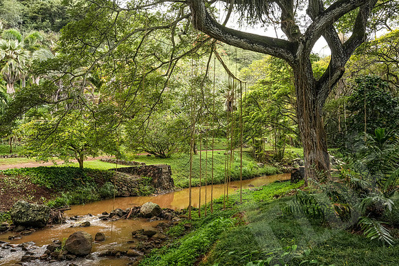Hawaii_1423_020323