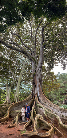 Hawaii_1430_020323