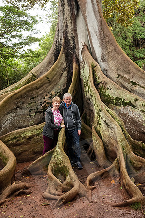 Hawaii_1432_020323