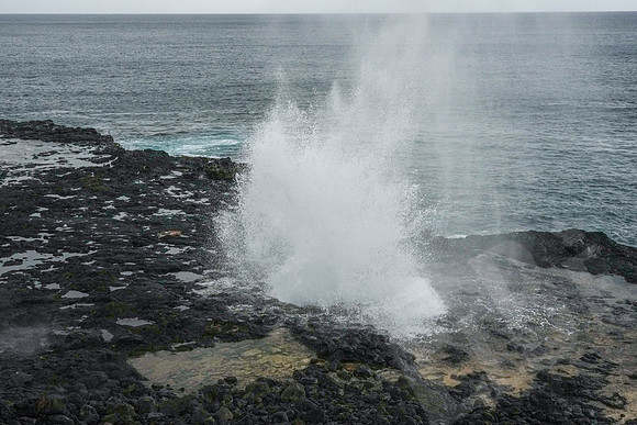 Hawaii_1476_020323