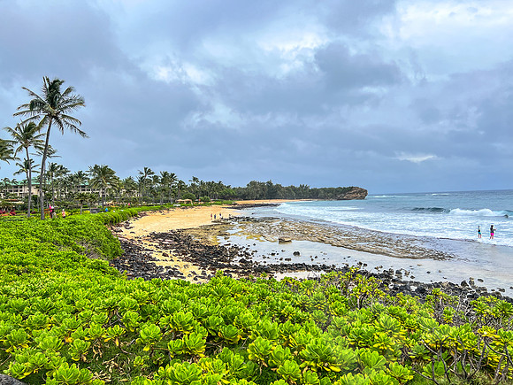 Hawaii_1506_020323