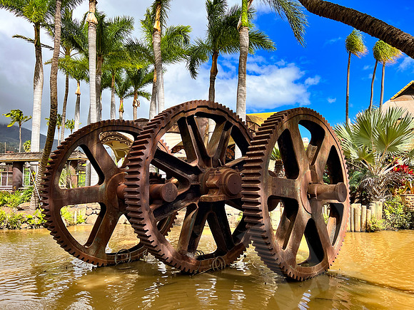 Hawaii_1603_020523