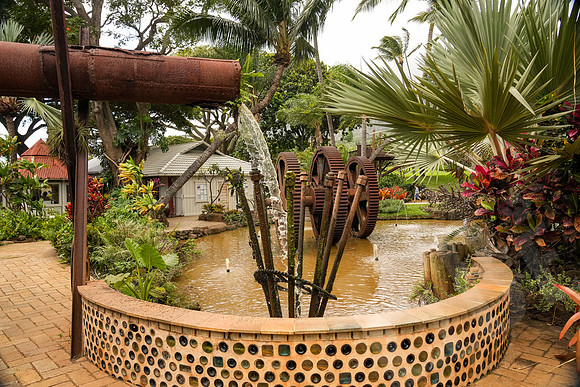 Hawaii_1663_020523