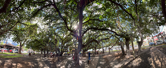 Hawaii_1675_020523