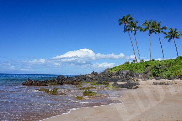 Hawaii_1737_020623