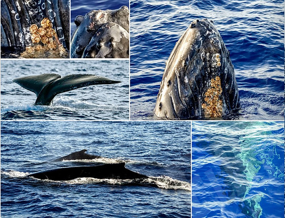 Page26