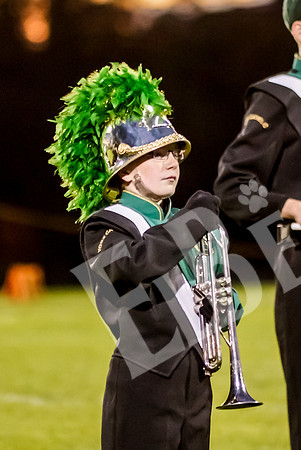 YCBand_010_101615