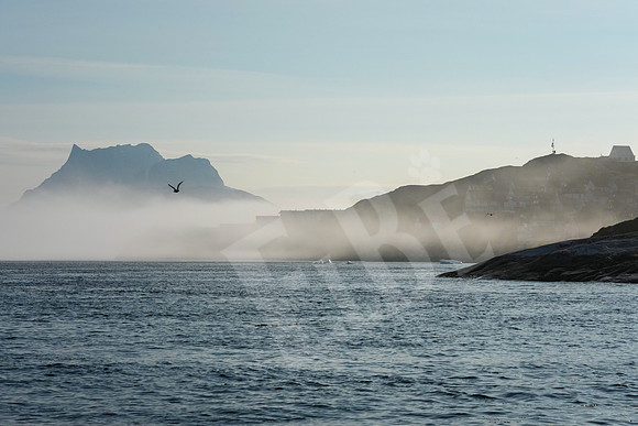 Greenland_0083_080126