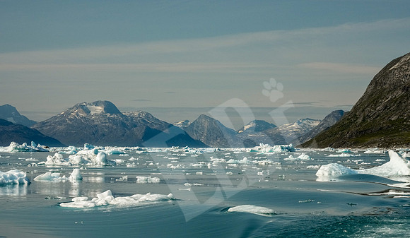 Greenland_0148_080126