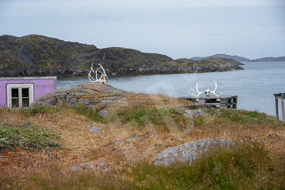 Greenland_0334_080226