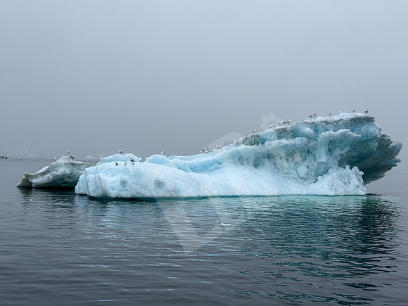 GreenlandPC_1609_080326