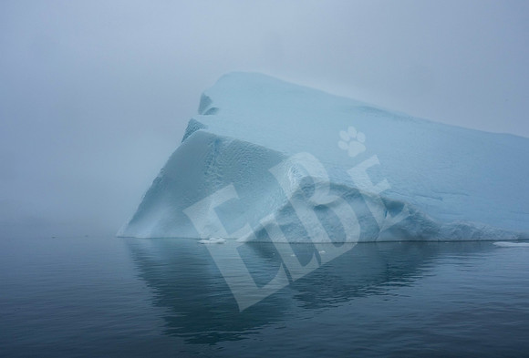 Greenland_0412_080326