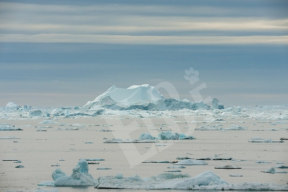 Greenland_0573_080326