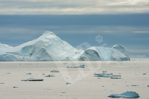Greenland_0579_080326