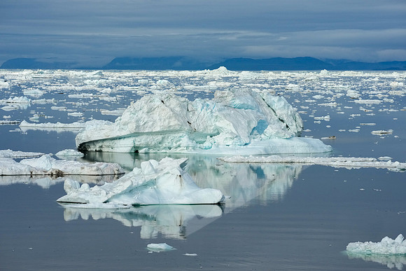Greenland_0604_080326