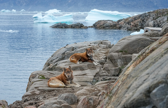 Greenland_0662_080426