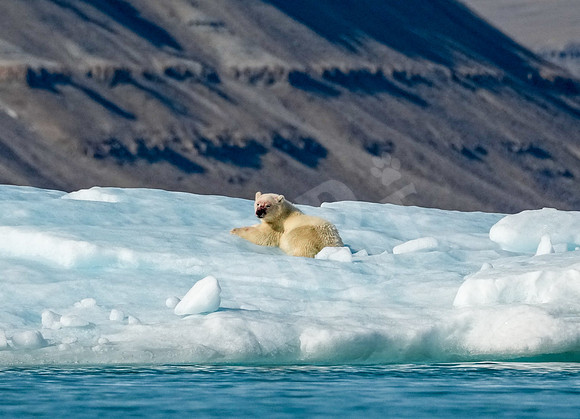 Greenland_1106_080726