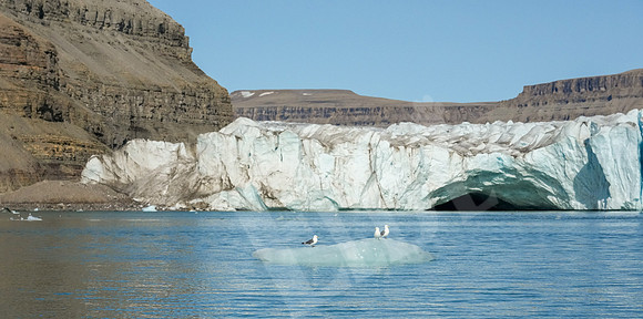 Greenland_1143_080726