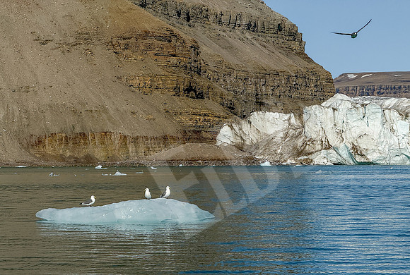 GreenlandPC_1770_080726