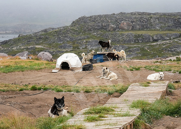 Greenland_1316_081126