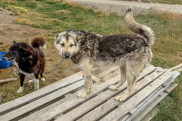 GreenlandPC_1879_081126