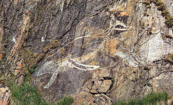GreenlandPC_1889_081126