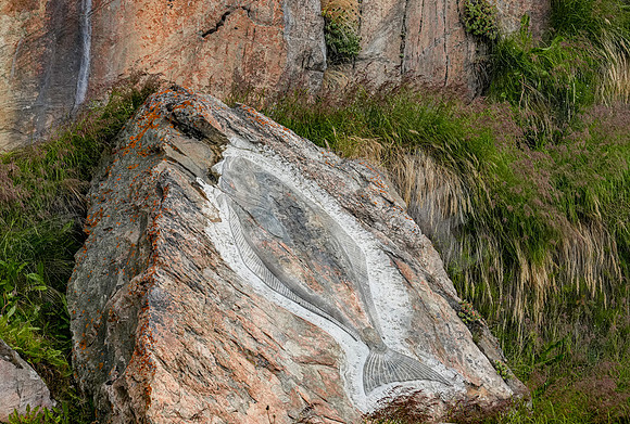 Greenland_1364_081126