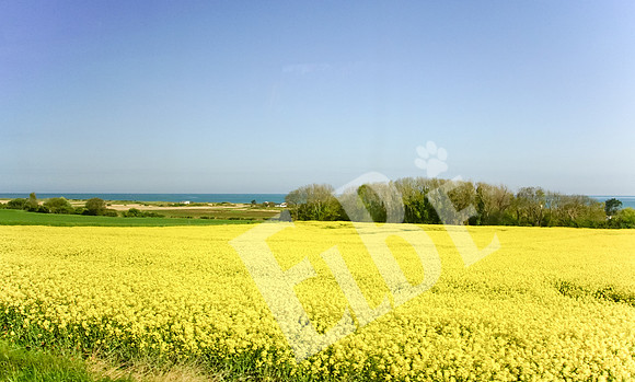 Normandy_002_042317