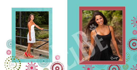 PPD10x10 Book CoverDG
