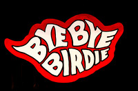 Bye Bye Birdie - Musical