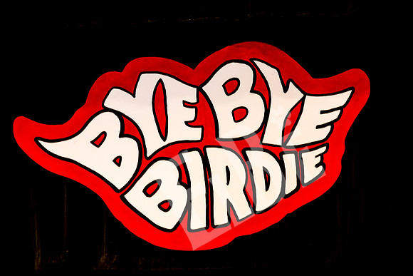 ByeBye_038_030316