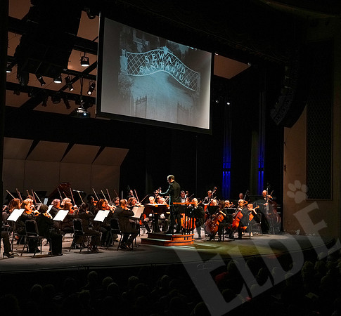 YSO_29_102426