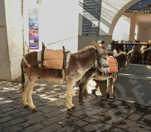 1087_Rhodes_042423