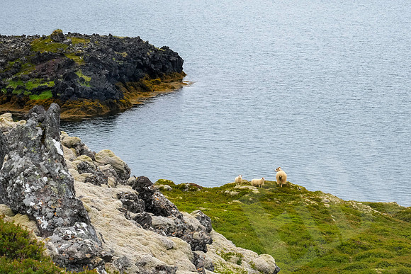 Iceland_028_062922