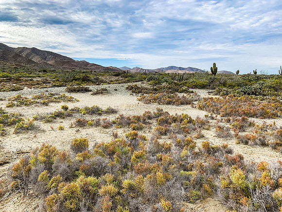 Baja_1445_011222