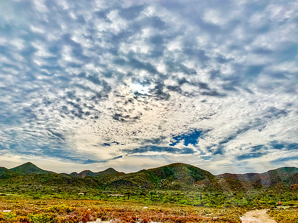 Baja_1529_011222