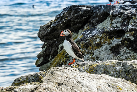Iceland_263_063022
