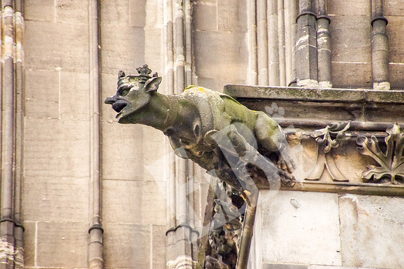 713_009_Cologne