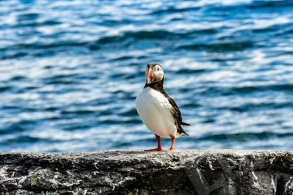 Iceland_217_063022