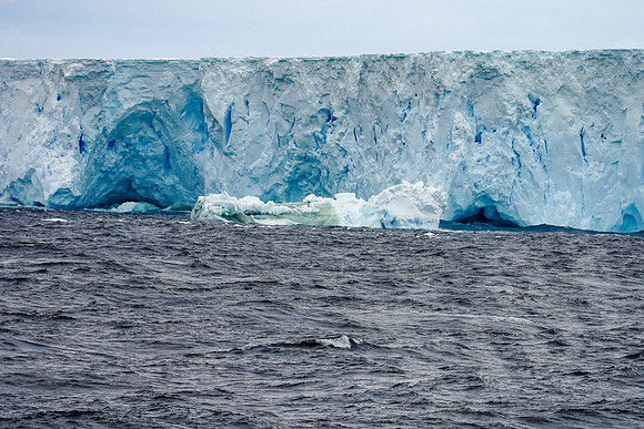 0180-DSC06769-011819