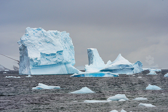 0602-DSC07644-012119