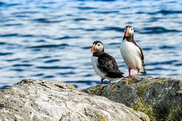 Iceland_243_063022