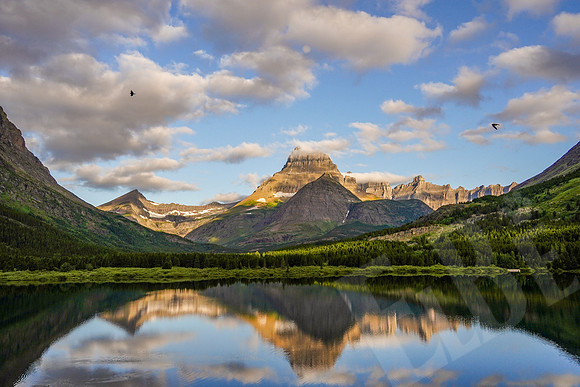 212_GlacierNP_072119