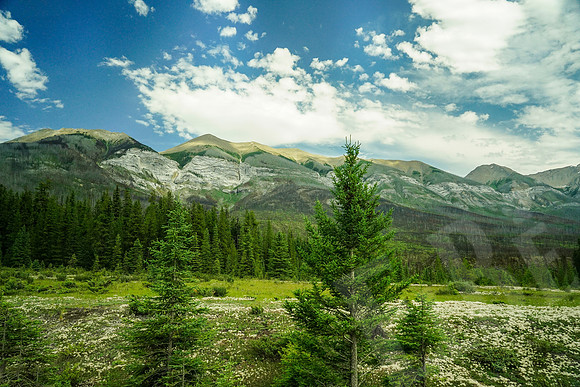 446_LakeLouise_072219