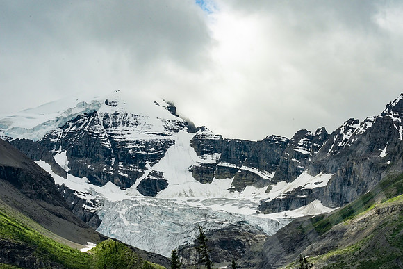 676_Jasper_072519