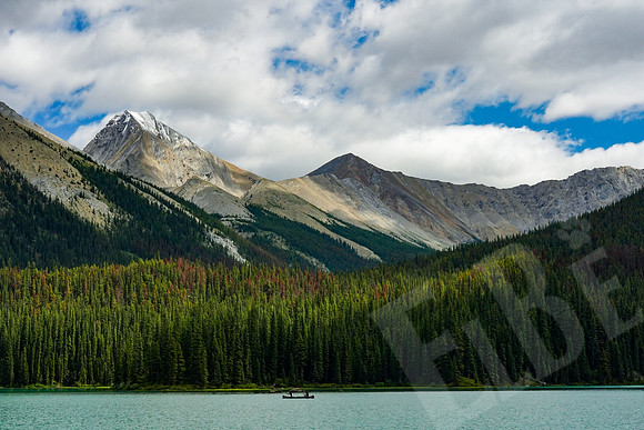 678_Jasper_072519