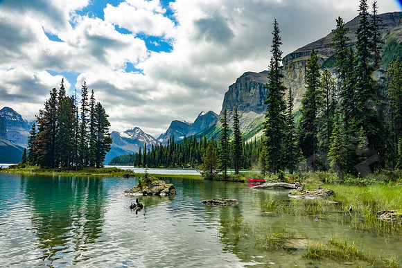 701_Jasper_072519-Edit